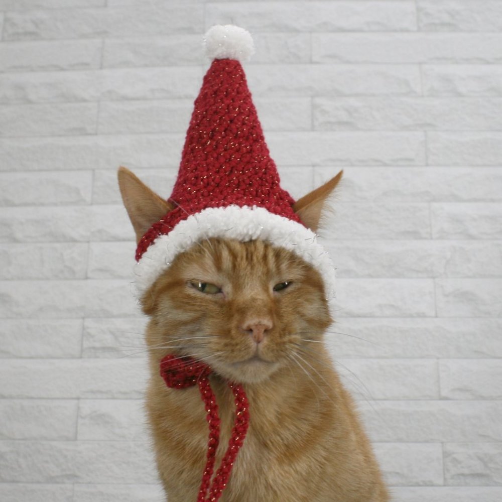 HAND CRAFTED Crochet Santa Cat Pet Hat Costume Photo Prop Christmas Holiday - Picture 3 of 14
